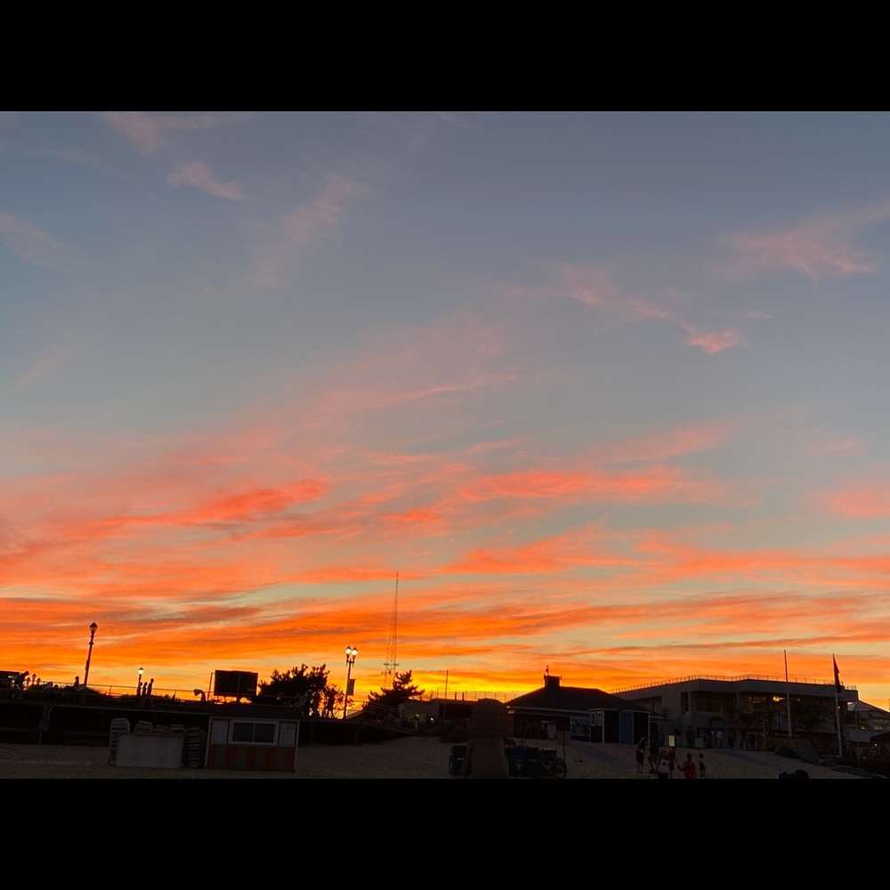 Meet your Posher, Vibha